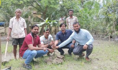 পিরোজপুর গণপূর্ত অধিদপ্তরের সপ্তাহব্যাপী বৃক্ষরোপণ কর্মসূচি