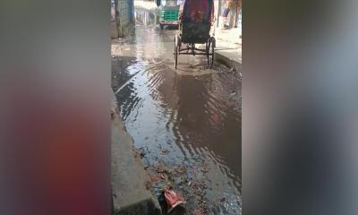 ফেনী পৌরসভার উপরে ফিটফাট ভিতরে সদরঘাট