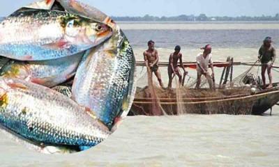 ২২ দিন ইলিশ ধরা ও বিক্রয় নিষিদ্ধ