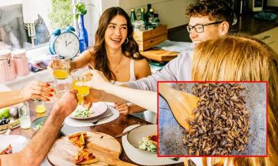 এবার ঝিঁঝিঁ পোকা দিয়ে তৈরি হচ্ছে পিৎজা