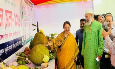 কাপাসিয়ায় তিন দিনব্যাপী ফল মেলা শুরু