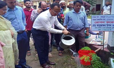 মুন্সীগঞ্জে বৃক্ষরোপণ কর্মসূচি শুরু
