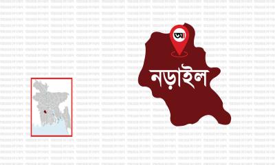 লোহাগড়ায় বিধবা নারী ধর্ষণের শিকার