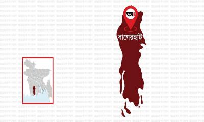 রামপাল বিদ্যুৎকেন্দ্রে সন্ত্রাসী হামলার ঘটনায় গ্রেপ্তার ১১