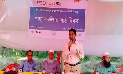 দশমিনায় সূর্যমুখী শস্য কর্তন ও মাঠ দিবস