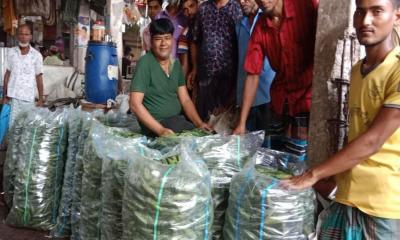 কুড়িগ্রামে পটলের বাম্পার ফলন