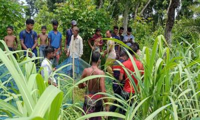 মহেশপুরে ৩য় শ্রেণীর ছাত্রীকে বেঁধে ধর্ষণ