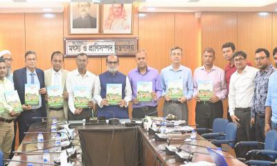 দেশের খাদ্য সংকট দূর করতে অবদান রাখছে মৎস্য-প্রাণিসম্পদ খাত