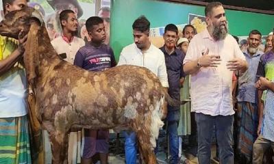 সাদিক এগ্রোতে উত্তর সিটির অভিযান আজ