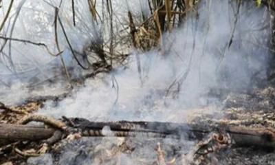 সুন্দরবনের গুলিশখালীর আগুন নিয়ন্ত্রণে