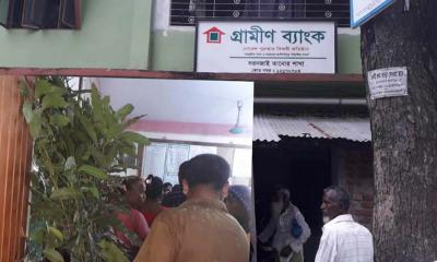 অভিনব কায়দায় গ্রামীণ ব্যাংকের গাছ বাণিজ্য