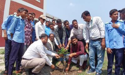 তেঁতুলিয়ায় পথশিশু কল্যাণ ট্রাস্টের বৃক্ষরোপণ কর্মসূচি