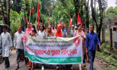 তেঁতুলিয়ায় মুক্তিযোদ্ধা কোটা বহালের দাবিতে বিক্ষোভ সমাবেশ