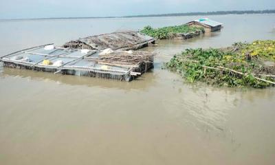 ভূঞাপুরে বন্যা পরিস্থিতির আরও অবনতি