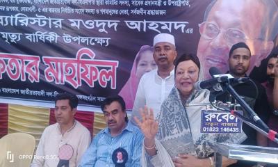 ‘বিএনপি নির্বাচনে গেলে সরকারকে বৈধতা দেয়া হতো’