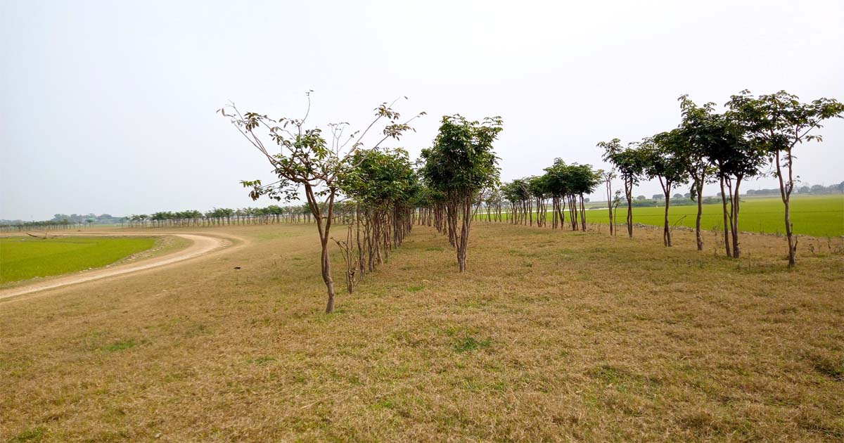 মধ্যনগরে সম্ভাবনাময় গোপেশ বাগ