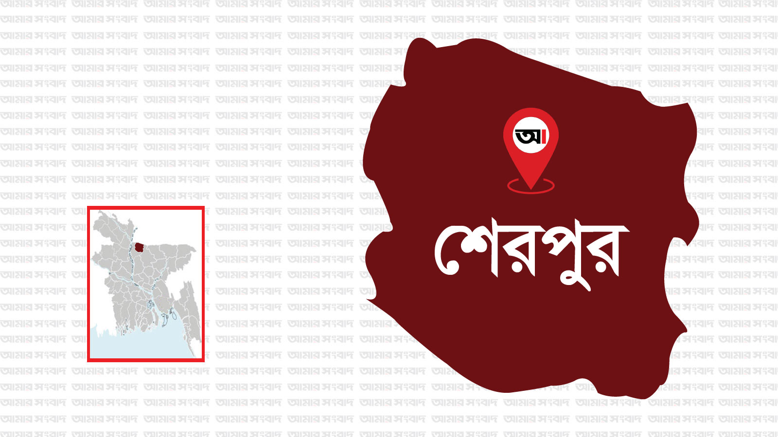 শেরপুর বিএনপির ২৫ নেতাকর্মী কারাগারে