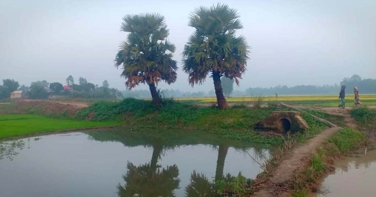 ৫২ বছরেও চিহ্নিত হয়নি টেকিপাড়া বদ্ধভূমি
