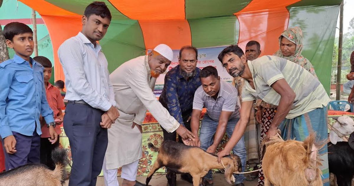 রৌমারীতে ছাগলের পিপিআর টিকা ক্যাম্পেইন উদ্বোধন