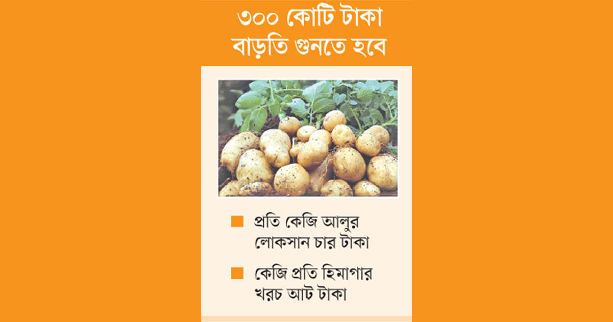 কৃষকের গলার কাঁটা আলু