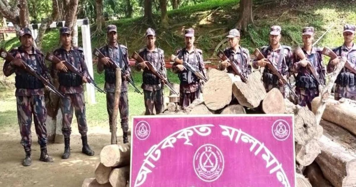 রাঙ্গামাটির বরকলে অবৈধ সেগুন কাঠ উদ্ধার