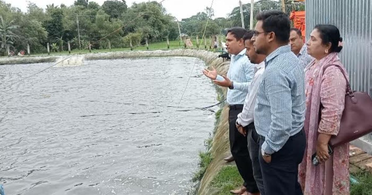 ত্রিশালে আধুনিক পদ্ধতিতে মাছ চাষে সফল উপজেলা প্রশাসন
