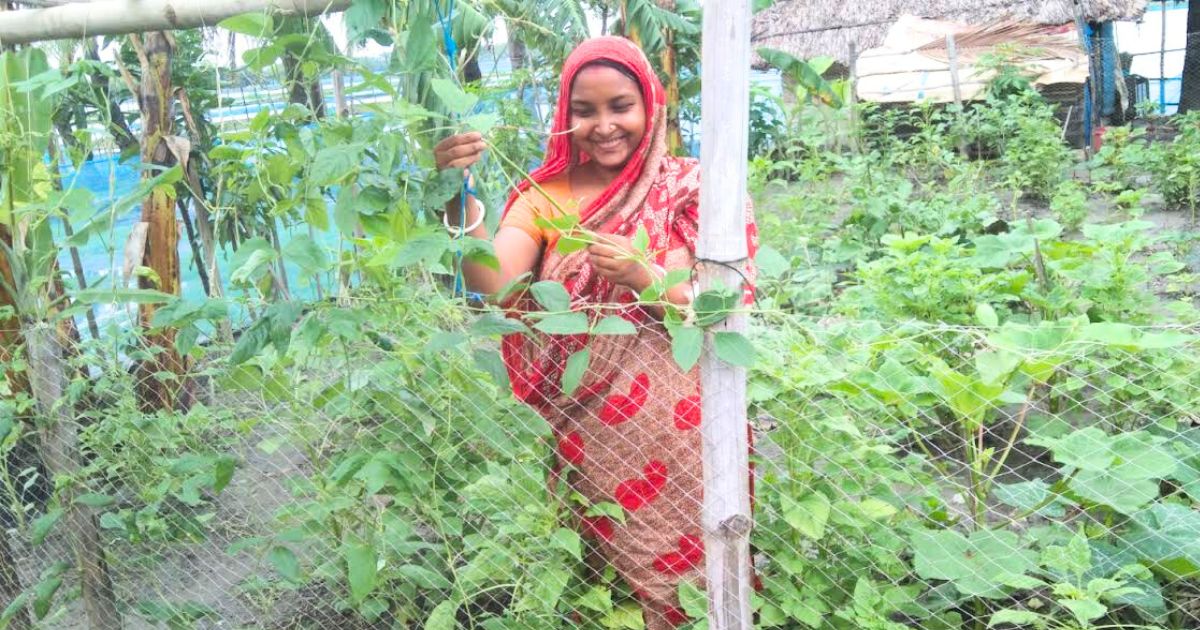 মোংলায় মৌসুমি কৃষিতে বদলে গেল ৬০ পরিবারের জীবনমান