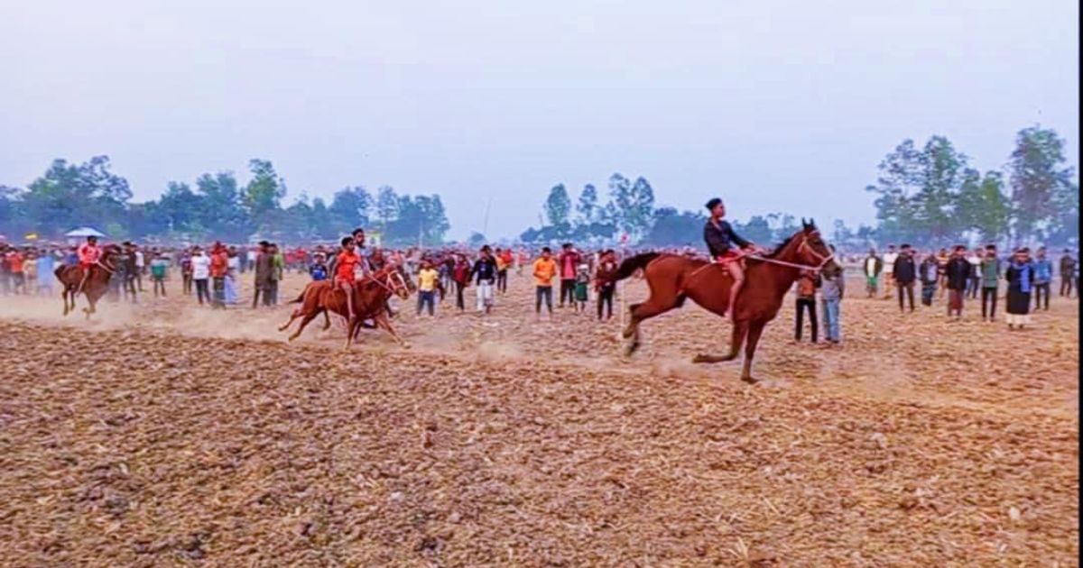 সরিষাবাড়ীতে ঐতিহ্যবাহী ঘোড়দৌড় প্রতিযোগিতা অনুষ্ঠিত