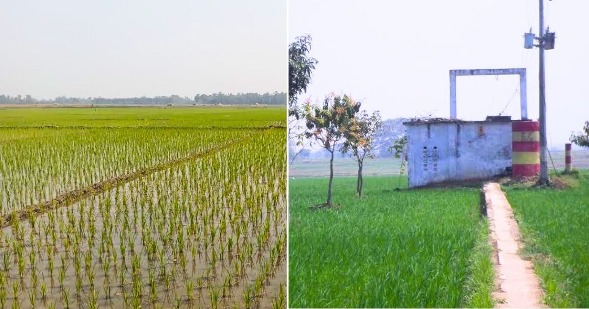 ১০ লাখ ৩৬ হাজার হেক্টর জমিতে পানি দিচ্ছে বিএমডিএ