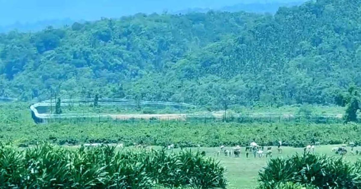 সীমান্তে আবারও বিএসএফের পুশ-ইন, আটক ২২