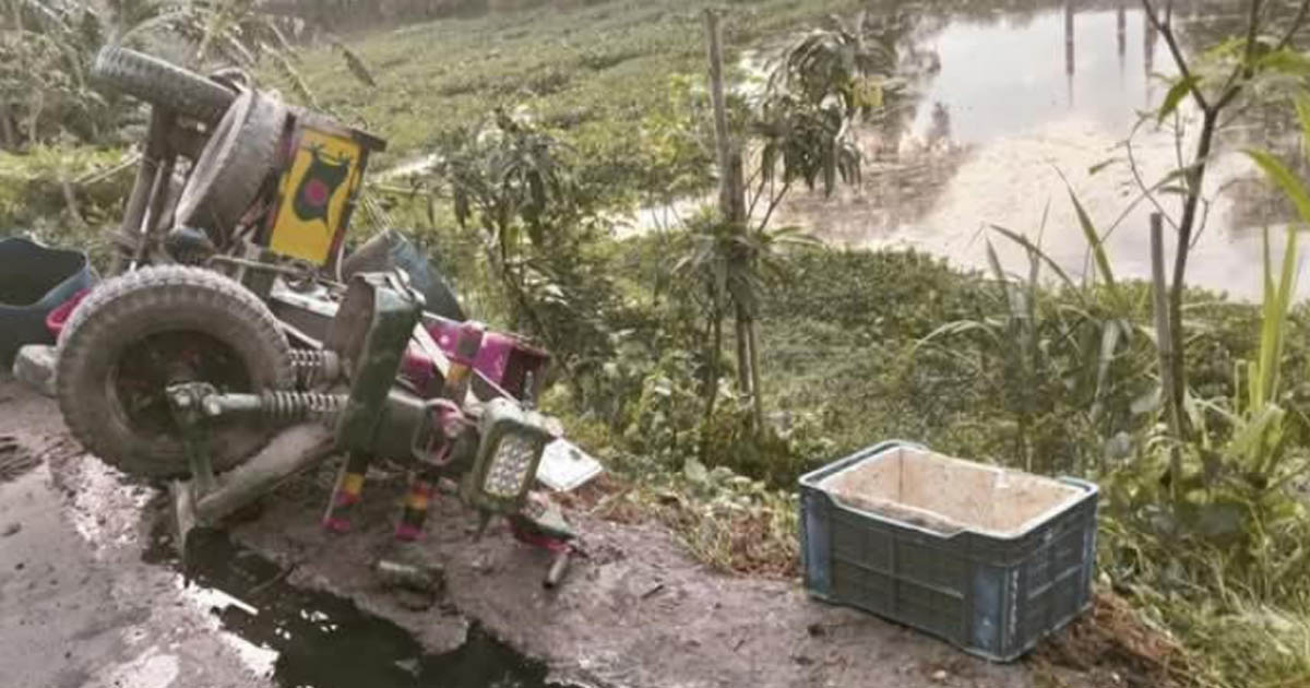 আড়াইহাজারে নসিমন খাদে পড়ে পিতা নিহত, আহত দুই পুত্র