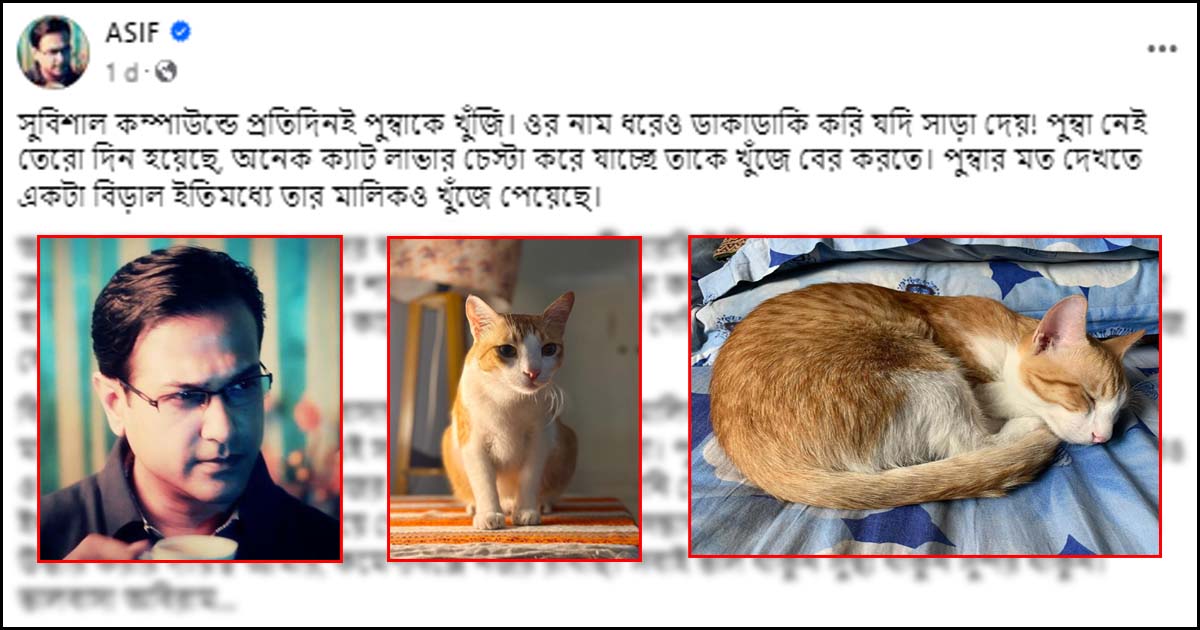 বিড়ালের জন্য পঞ্চাশ হাজার টাকা পুরস্কার ঘোষণা আসিফের, থানায় জিডি