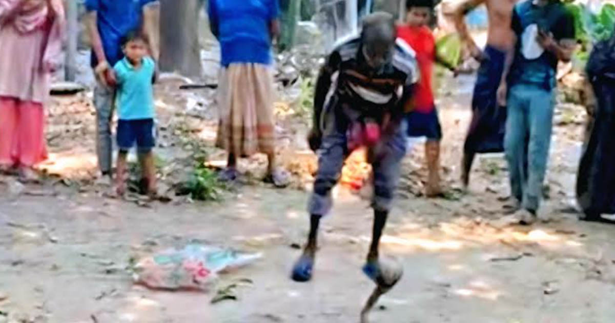 অভয়নগরে মুরগির ঘরে মিলল বিষধর গোখরা সাপ