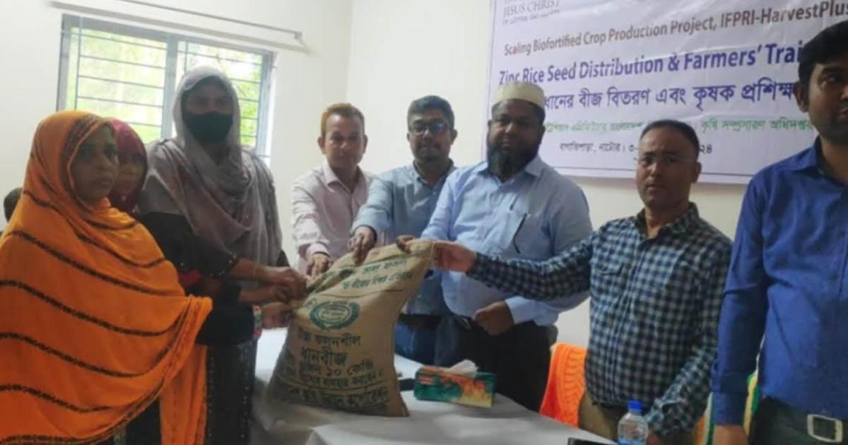 বাগাতিপাড়ায় কৃষক প্রশিক্ষণ ও জিংক ধানের বীজ বিতরণ