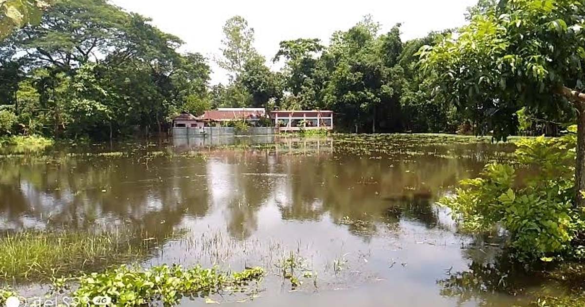 বড়লেখা ও জুড়ীতে ফের বন্যার পানি বৃদ্ধি