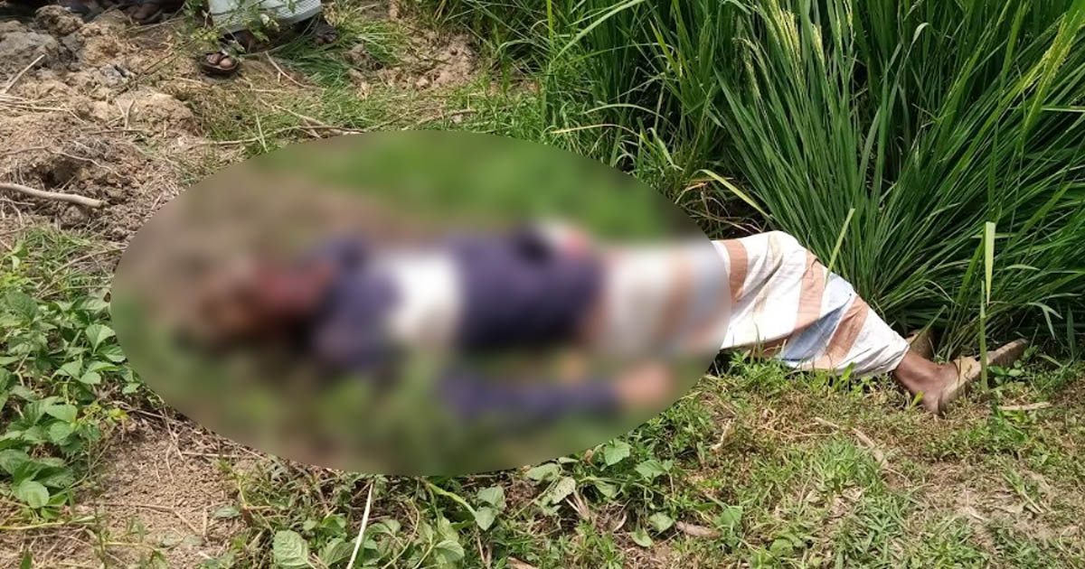তাড়াশে পিকআপ চালকের গলাকাটা লাশ উদ্ধার