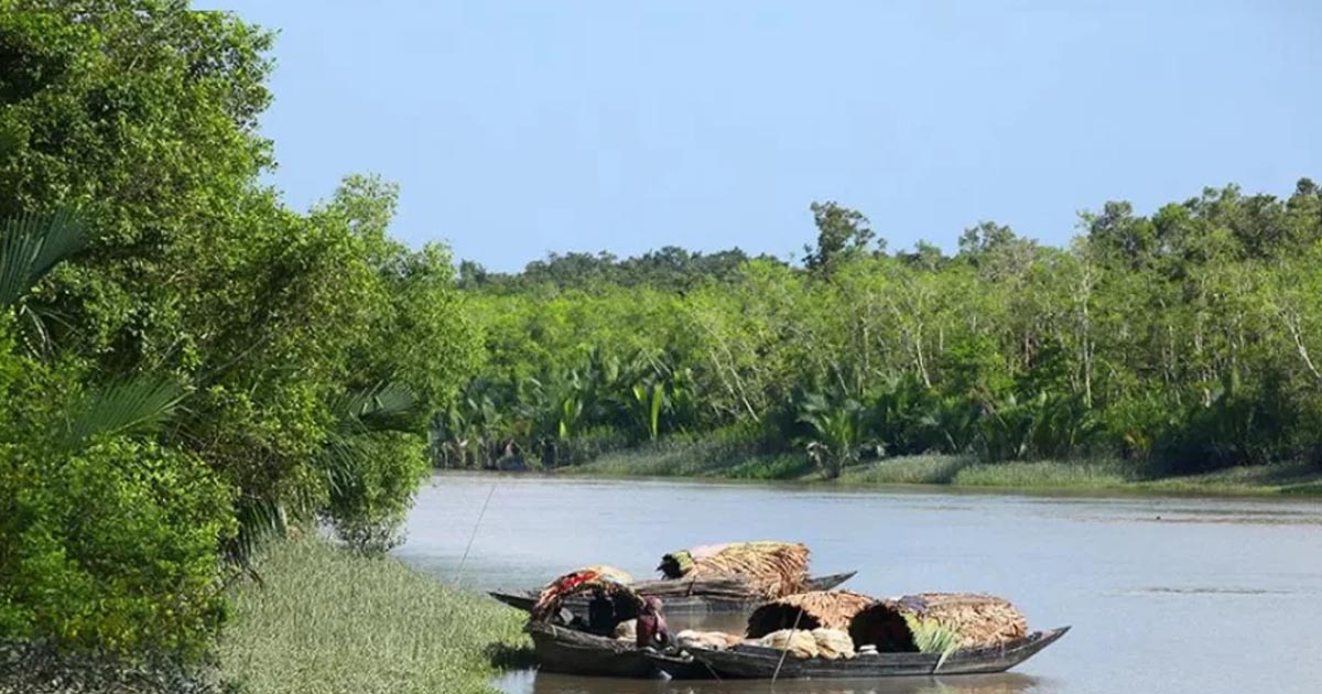 তিন মাস সুন্দরবনে প্রবেশে নিষেধাজ্ঞা