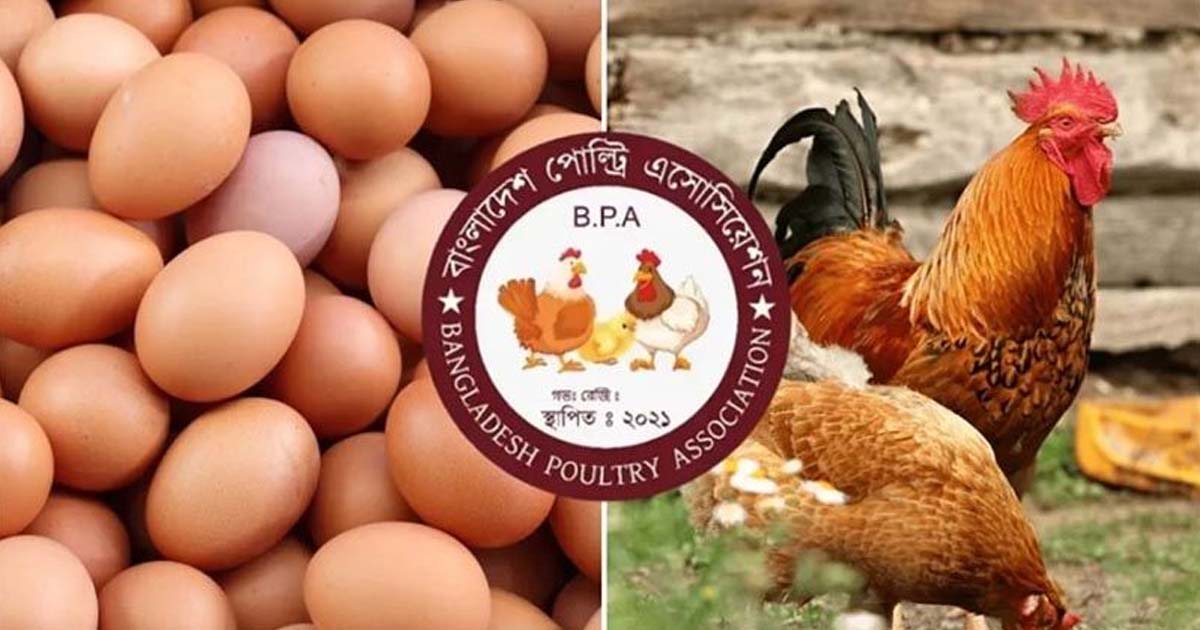 ডিম ও মুরগি উৎপাদন বন্ধের ঘোষণা প্রত্যাহার