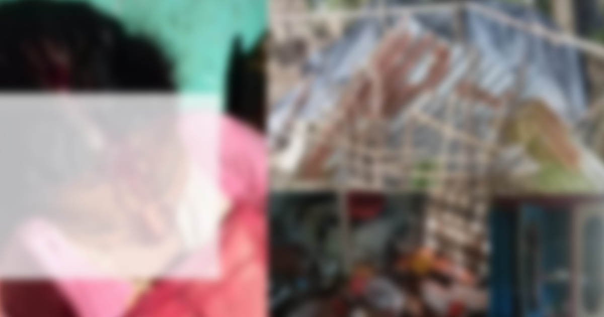 পাওনা টাকা চাওয়ায় বসতবাড়িতে হামলা, গৃহবধূসহ আহত ৩