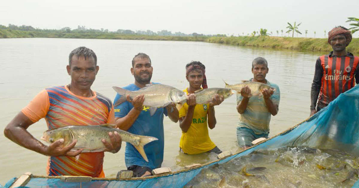 ভাগ্য খুলেছে চাঁপাইনবাবগঞ্জের শরিফুল ও মিন্টু আলীর