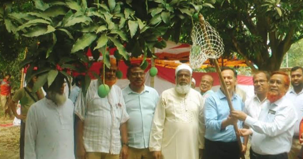 চুয়াডাঙ্গায় মৌসুমজুড়ে ১৫০ কোটি টাকার বেচাকেনার সম্ভাবনা