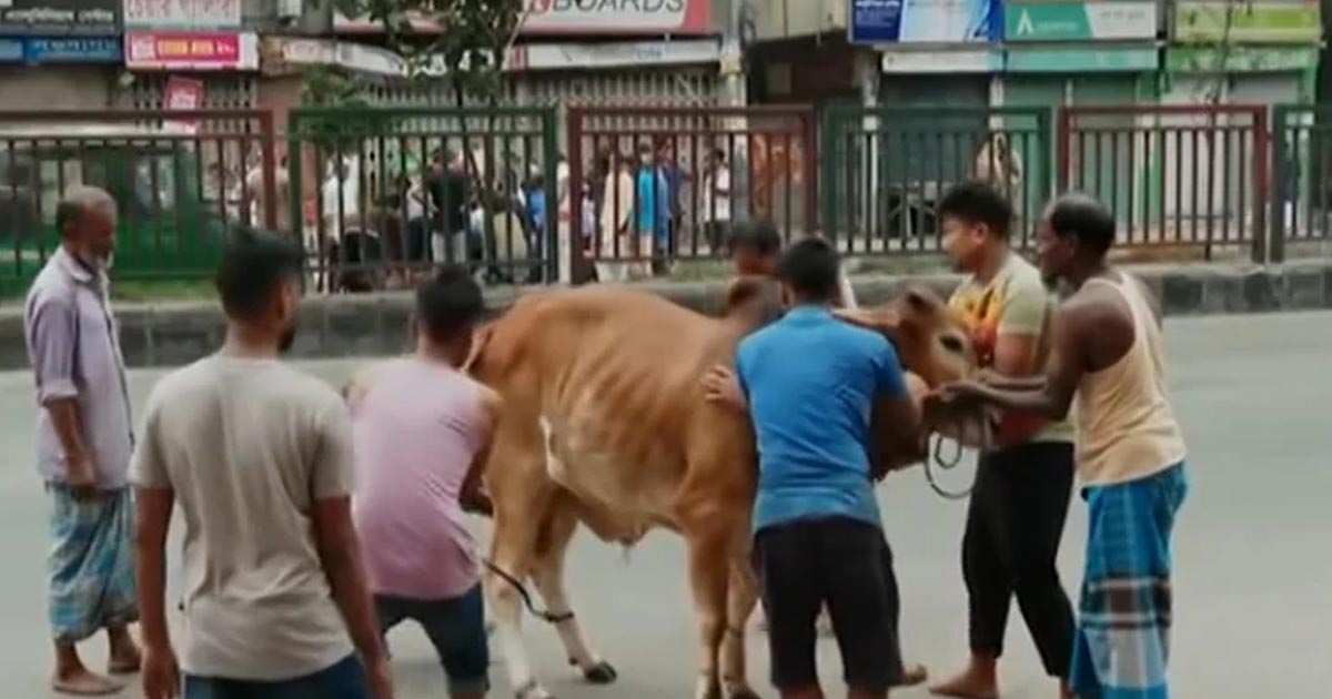 দেশে মোট ১ কোটি ৪ লাখ পশু কোরবানি