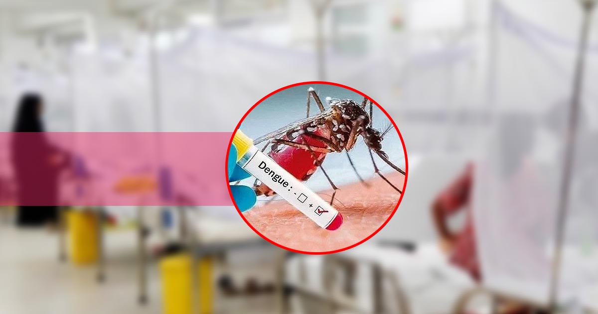 নভেম্বরে ডেঙ্গুতে ১৭৩ জনের মৃত্যু