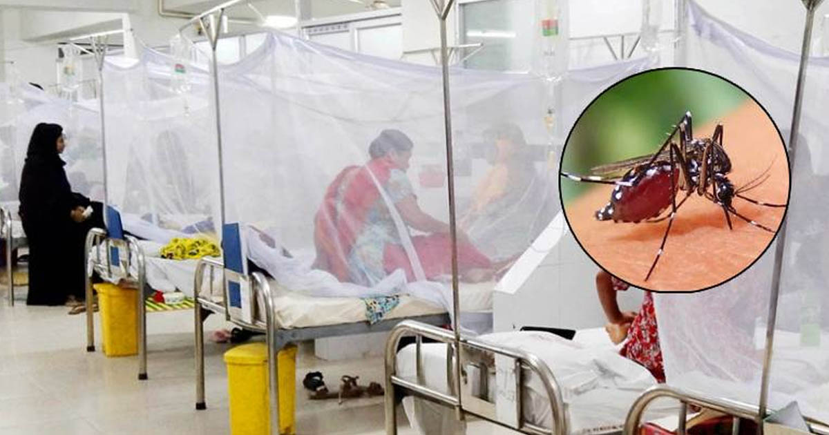 ডেঙ্গুতে আরো ৭ জনের মৃত্যু, হাসপাতালে ভর্তি ৮৬০