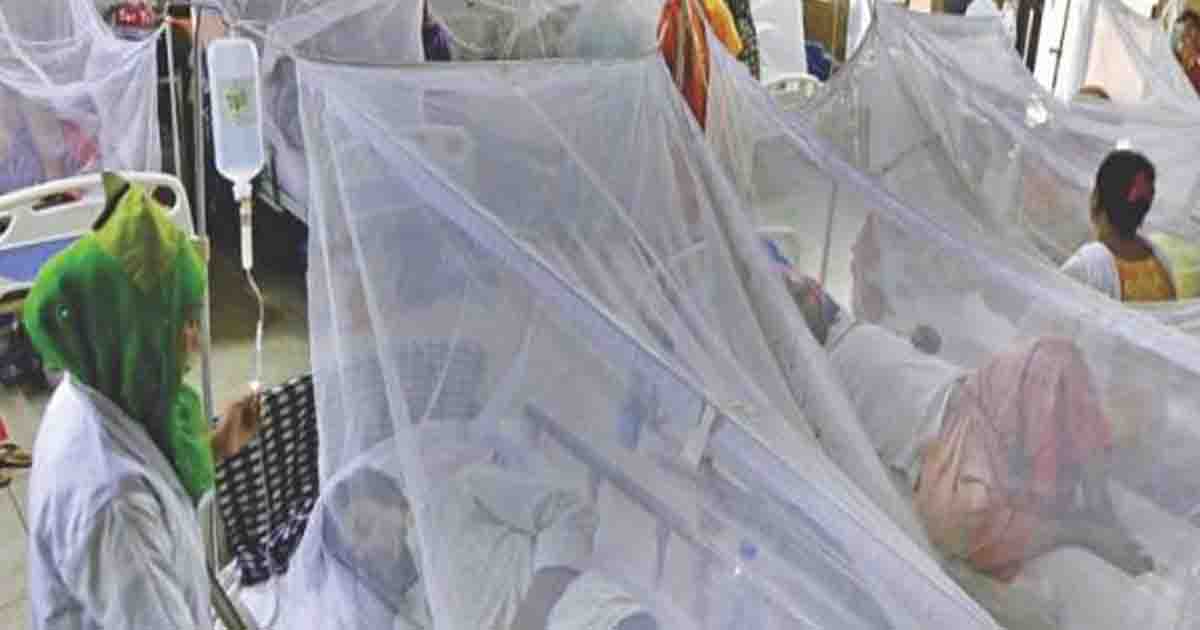 ডেঙ্গুতে আরও ৬ জন আক্রান্ত