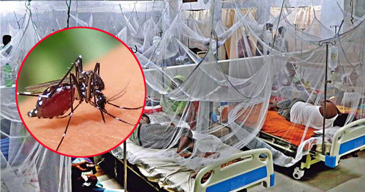 ডেঙ্গুতে আরো ৫ জনের মৃত্যু, আক্রান্ত ১৩৩৭