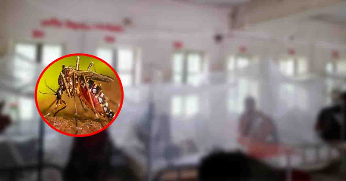 ডেঙ্গুতে ৯ মৃত্যু, হাসপাতালে ২০৫৬ রোগী