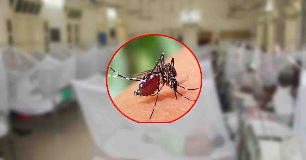 ঢাকার বাইরে আক্রান্ত বেড়েই চলছে