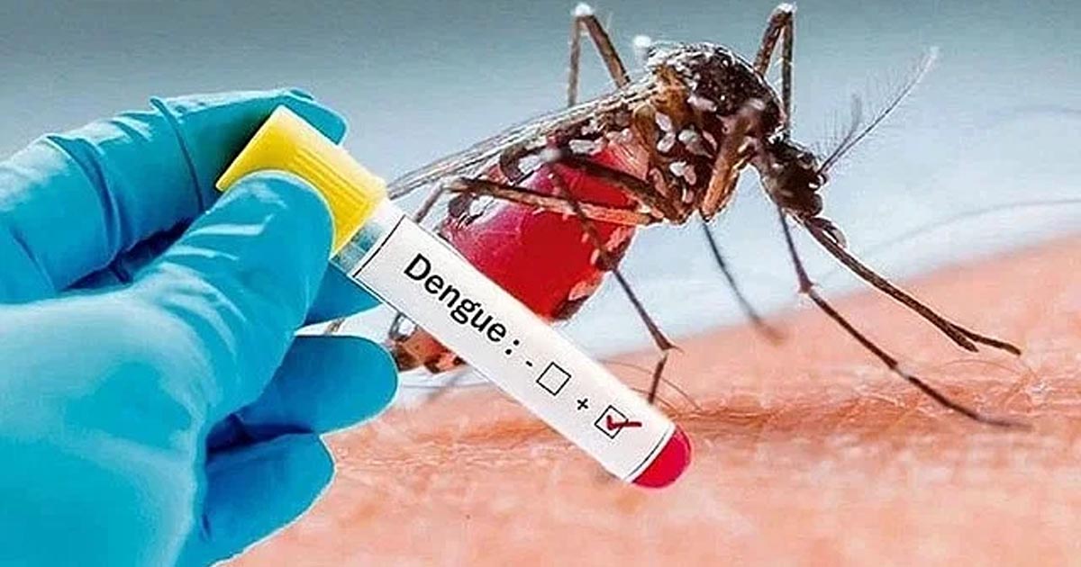 ডেঙ্গুতে আরও ১৫ জন আক্রান্ত