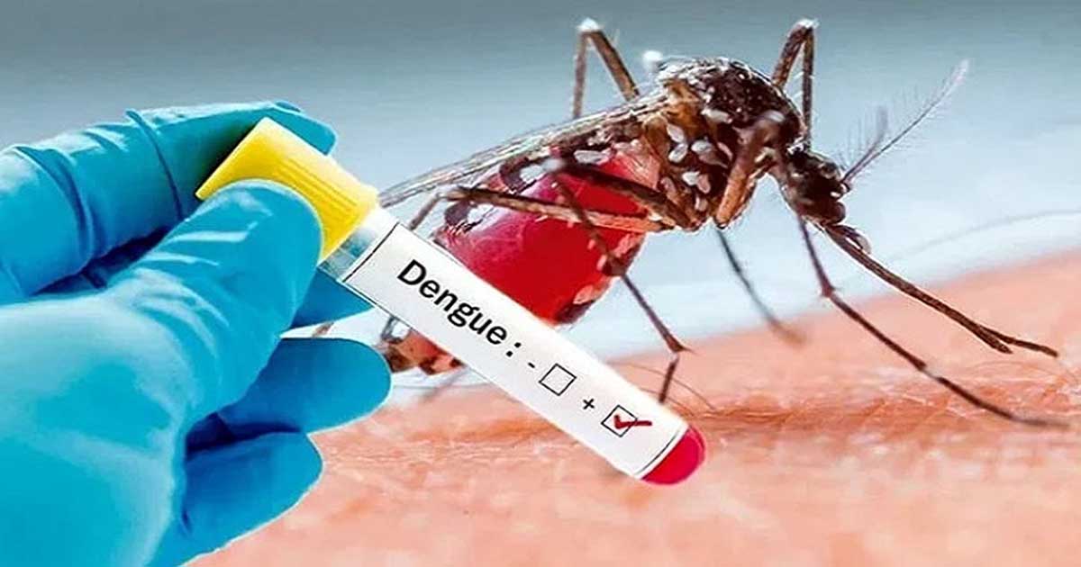 ৪৭ দিন পর ডেঙ্গুতে আরও একজনের মৃত্যু